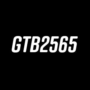 GTB2565V/VK