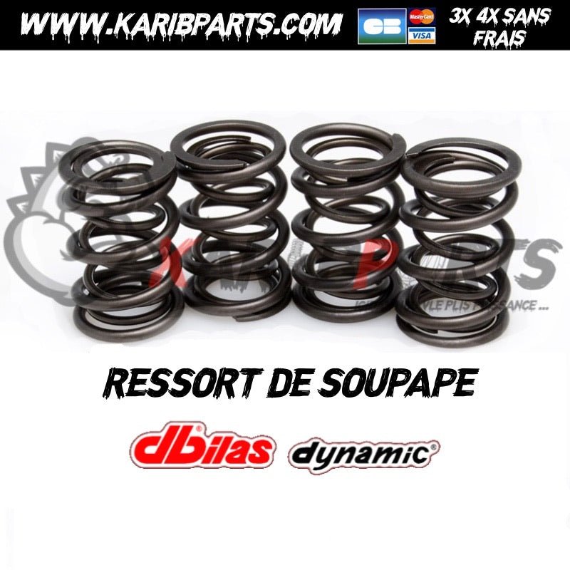 RESSORT DE SOUPAPE DBILAS ( PD ) 1.9 2.0 TDI 8S - KARIBPARTS